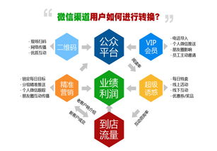 微聯網絡科技 信息系統集成服務的創新引領者